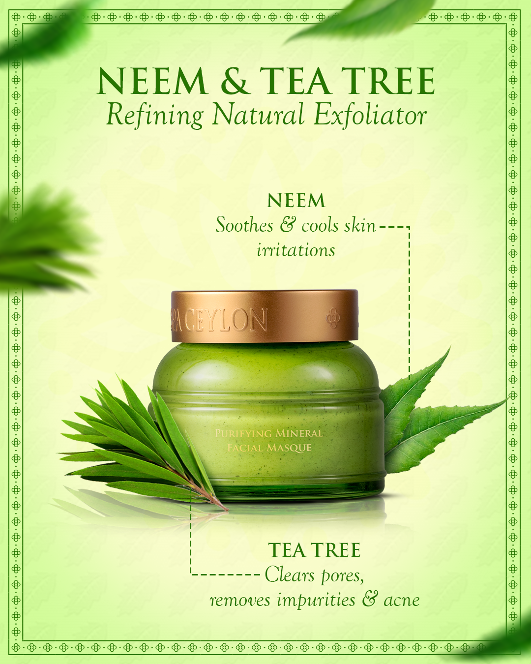 NEEM & TEA TREE -  Refining Natural Exfoliator 100gr